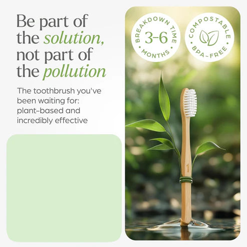 Bamboo Toothbrush Set – Eco-Friendly Medium Bristles (Pack of 10 )