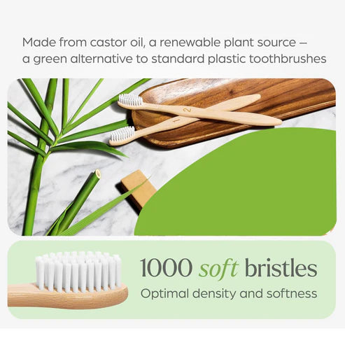 Bamboo Toothbrush Set – Eco-Friendly Medium Bristles (Pack of 10 )